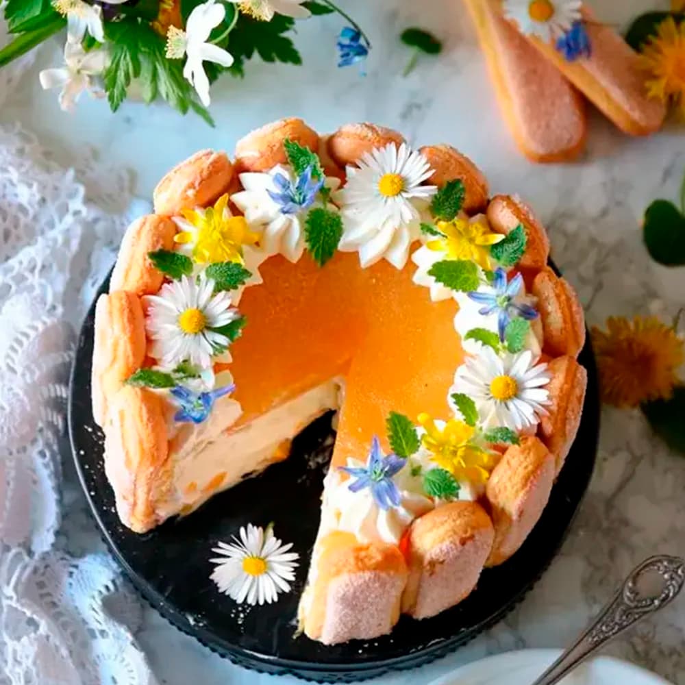 No-bake mangocheesecake