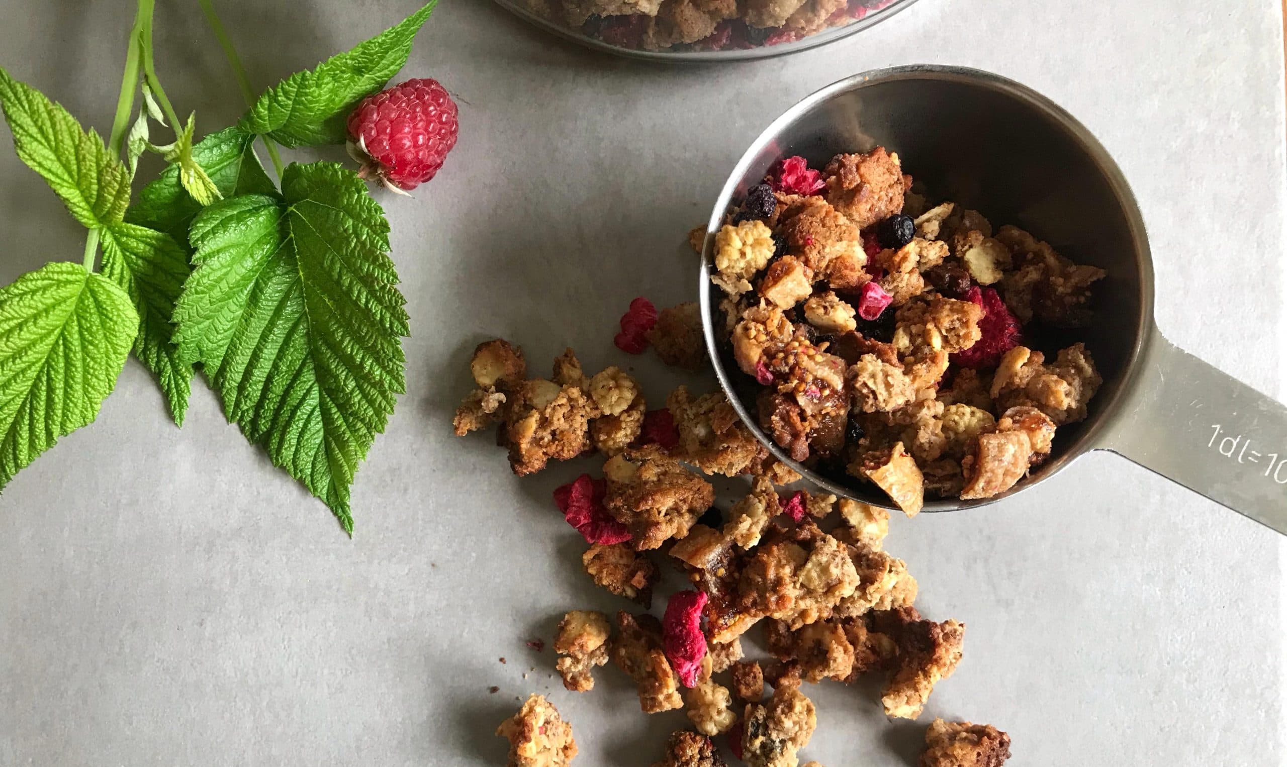 Chunky AIP-granola