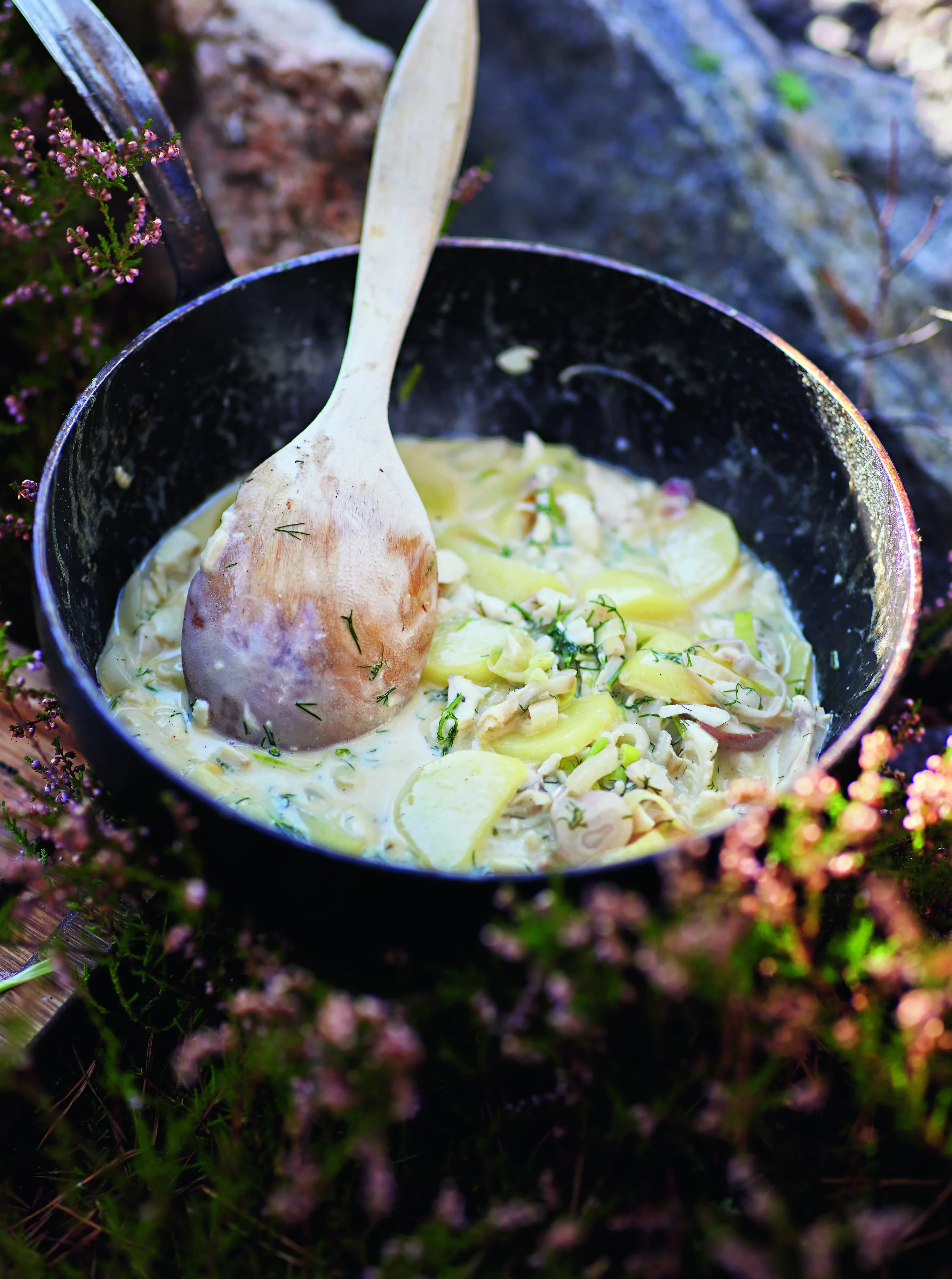 Abborrgryta med svamp och potatis