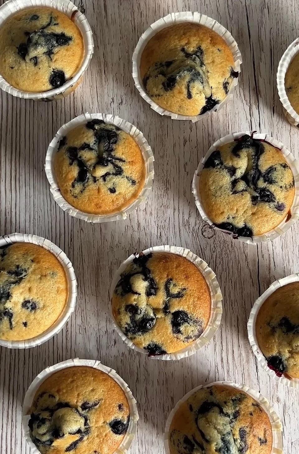 Stora blåbärsmuffins