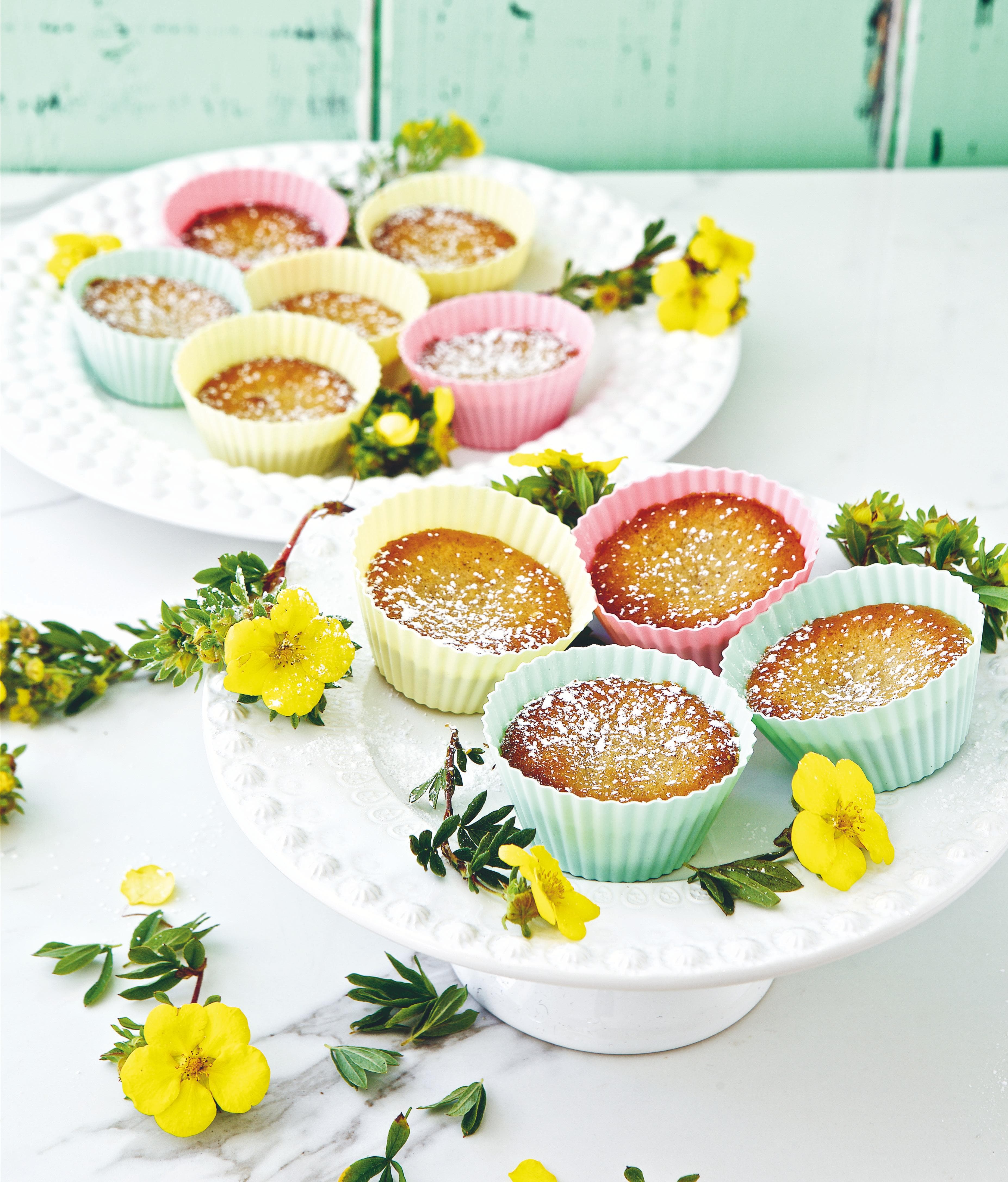 Chartermuffins