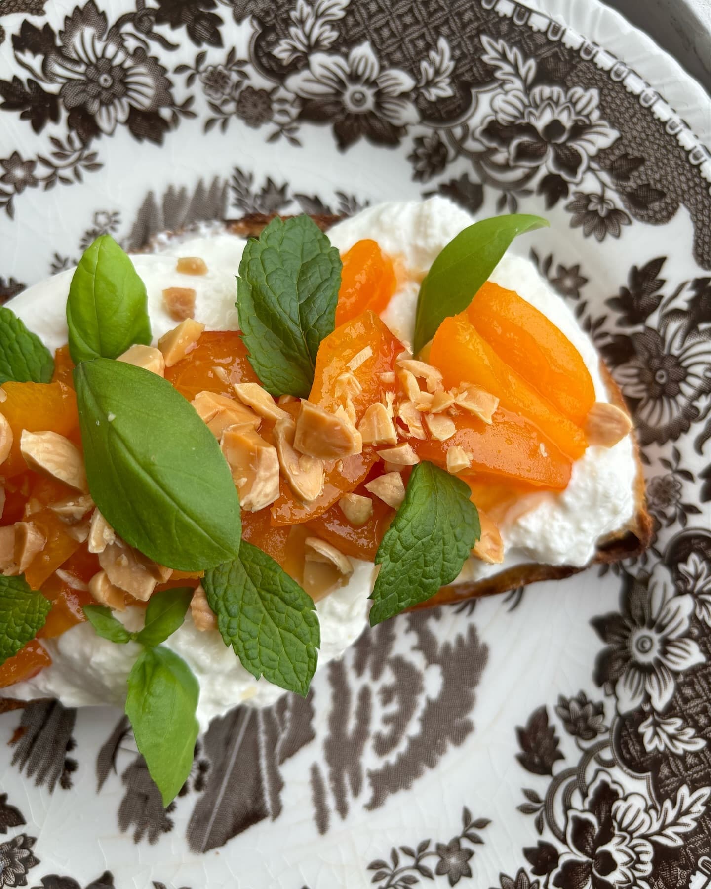 Toast med burrata och vaniljkokta aprikoser